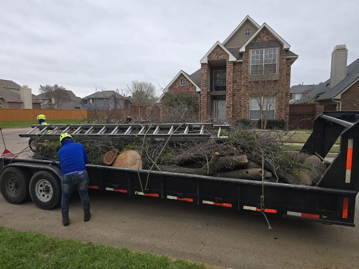 Expert Lot Clearing with proper safety equipment in Castella